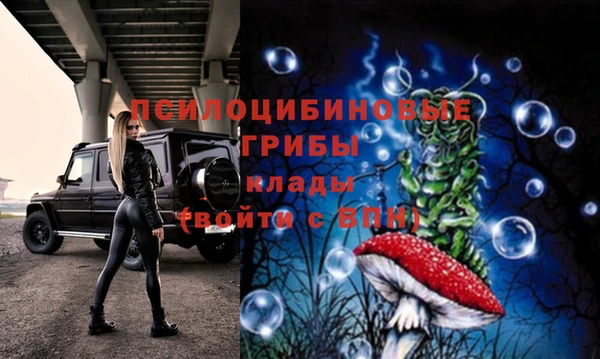 спайс Абинск