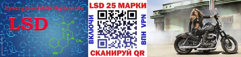 где можно купить наркотик  Новочебоксарск  OMG tor  ЛСД экстази кислота 