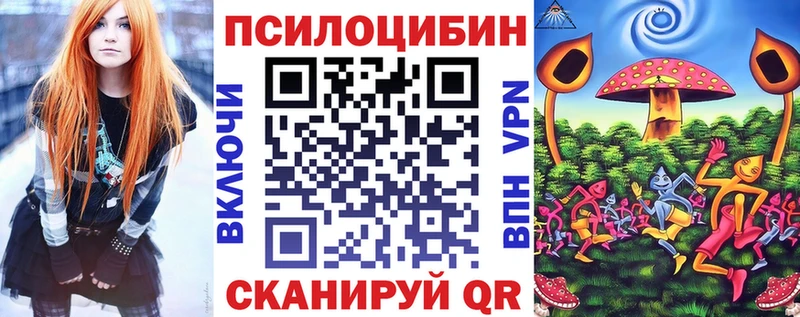 Псилоцибиновые грибы Psilocybine cubensis  Новочебоксарск 