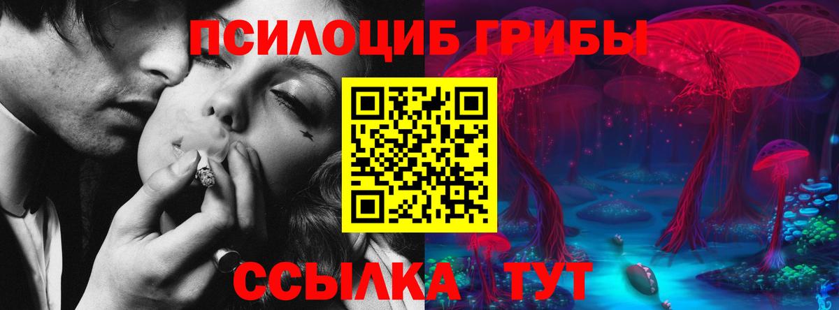 Псилоцибиновые грибы Magic Shrooms  Вход с VPN  Новочебоксарск 